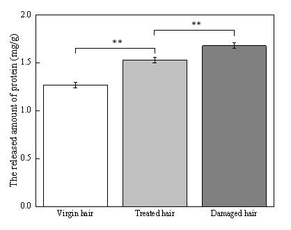 體外真發(fā),頭發(fā)熱損傷,模型研究,CIRS,功效評價,技術(shù)實(shí)踐