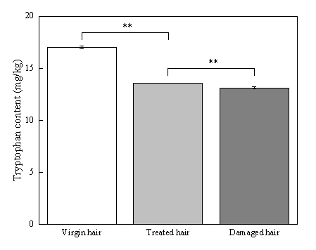 體外真發(fā),頭發(fā)熱損傷,模型研究,CIRS,功效評價,技術(shù)實(shí)踐