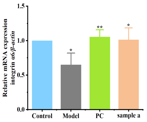 體外細胞培養(yǎng),模型,化妝品抗衰,功效評價