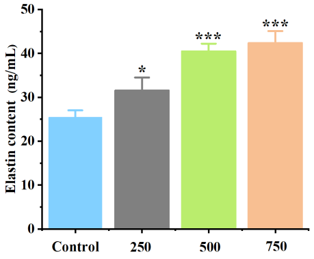 體外細胞培養(yǎng),模型,化妝品抗衰,功效評價