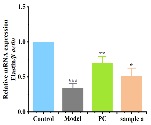 體外細胞培養(yǎng),模型,化妝品抗衰,功效評價