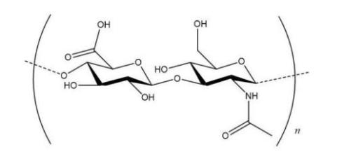 化妝,抗皺,活性物質(zhì),皺紋,玻尿酸,視黃醇