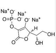 化妝,抗皺,活性物質(zhì),皺紋,玻尿酸,視黃醇