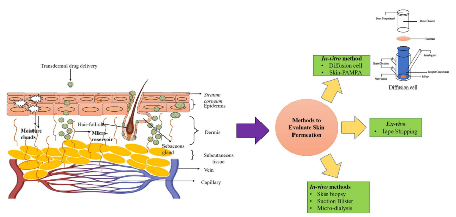 ea5d005da870eb9ad3c41ae2ad2baf6