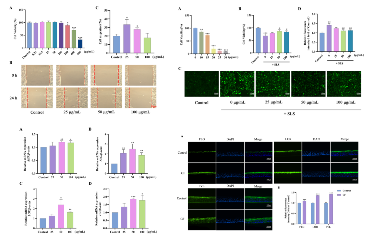SCI期刊,科新生物,君裕集團(tuán),梔子提取物,增強(qiáng),表皮屏障機(jī)制