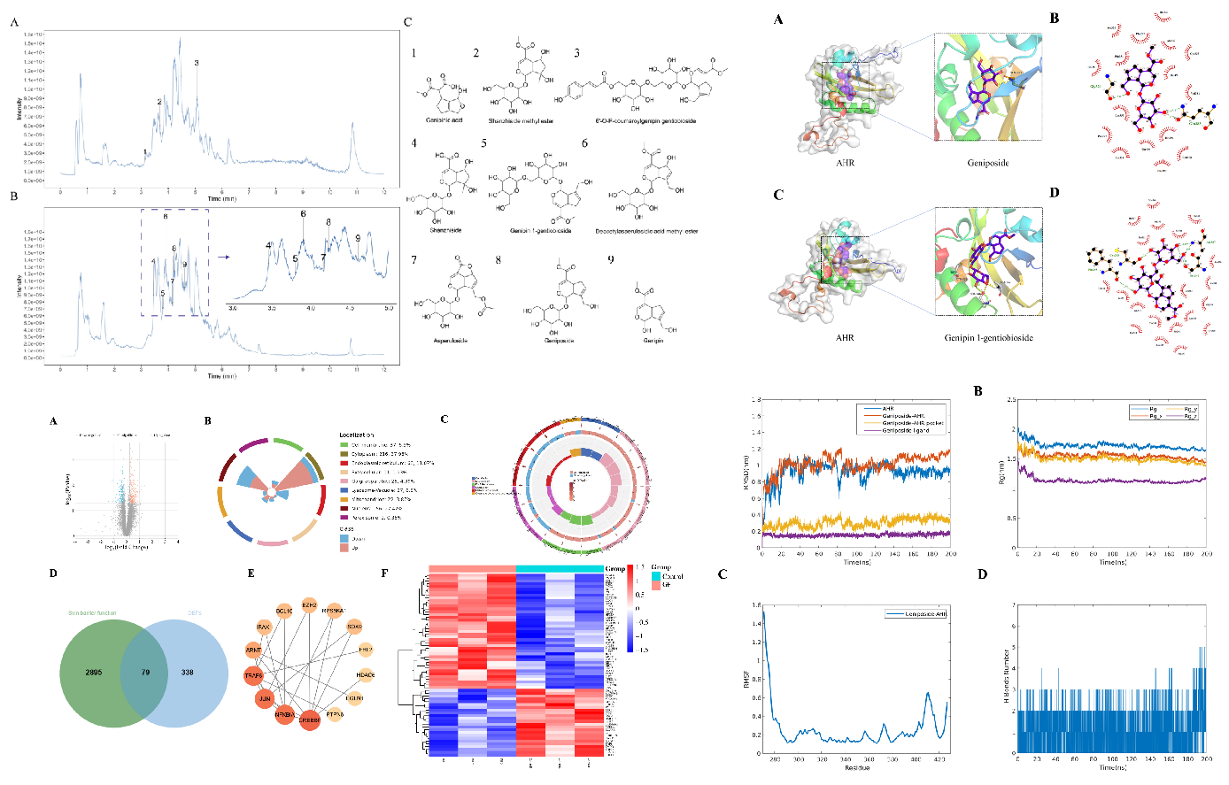 SCI期刊,科新生物,君裕集團(tuán),梔子提取物,增強(qiáng),表皮屏障機(jī)制